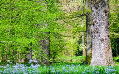 Comment vendre votre or tout réduisant l’impact sur l’environnement ?